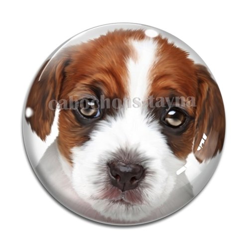 Cabochon chien, cabochon résine, verre rond différente taille
