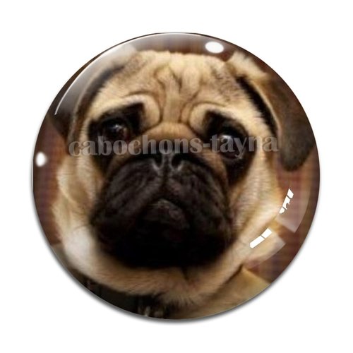 Cabochon chien, cabochon résine, verre rond différente taille
