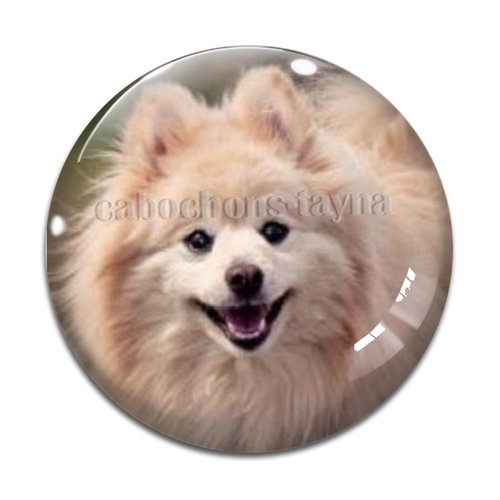 Cabochon chien, cabochon résine, verre rond différente taille