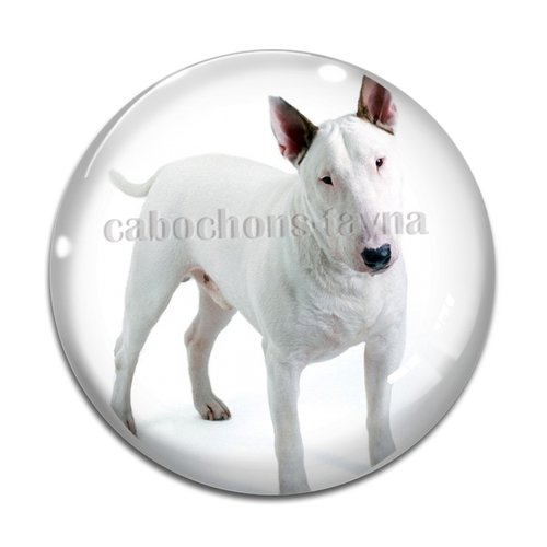 Cabochon chien, cabochon résine, verre rond différente taille