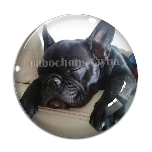 Cabochon chien, cabochon résine, verre rond différente taille