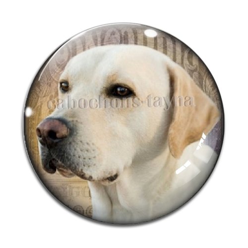 Cabochon chien, cabochon résine, verre rond différente taille