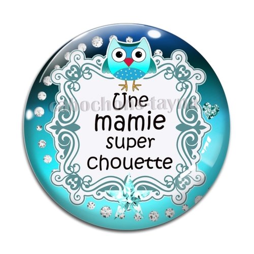 Cabochon une mamie super chouette, résine - ou verre différente taille