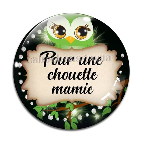 Cabochon chouette mamie, résine - ou verre différente taille