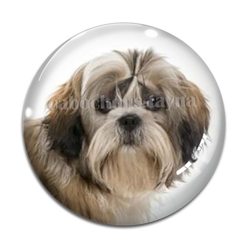 Cabochon chien, cabochon résine, verre rond différente taille