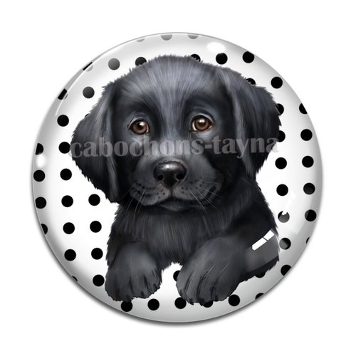 Cabochon chien, cabochon résine, verre rond différente taille