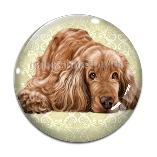 Cabochon chien, cabochon résine, verre rond différente taille