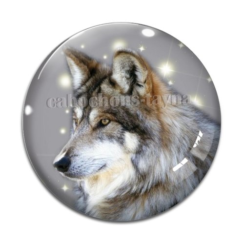 Cabochon loup, cabochon résine, verre rond différente taille