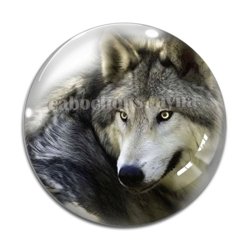 Cabochon loup, cabochon résine, verre rond différente taille