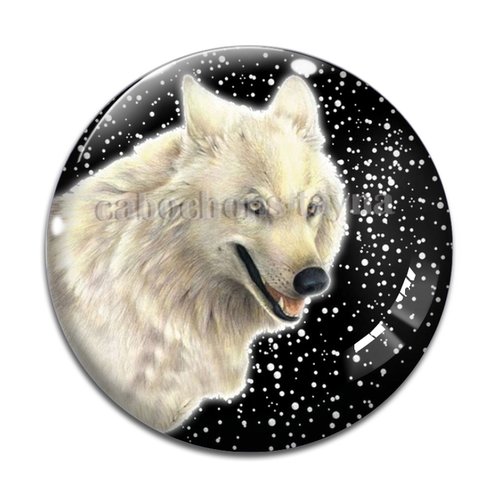 Cabochon loup, cabochon résine, verre rond différente taille