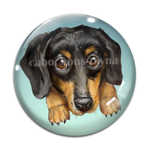 Cabochon chien, cabochon résine, verre rond différente taille