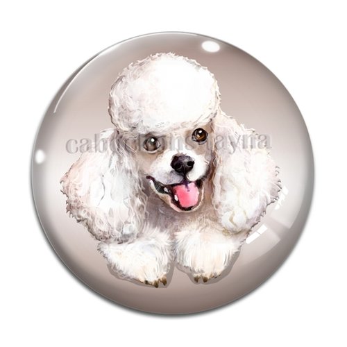 Cabochon chien, cabochon résine, verre rond différente taille