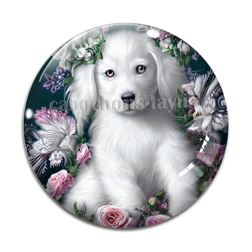 Cabochon chien, cabochon résine, verre rond différente taille