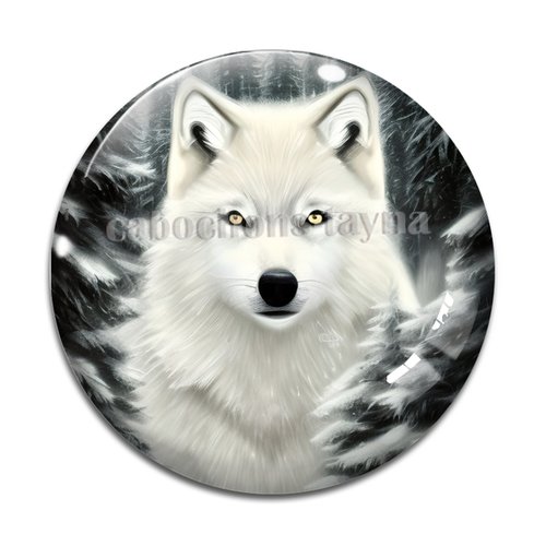 Cabochon loup, cabochon résine, verre rond différente taille