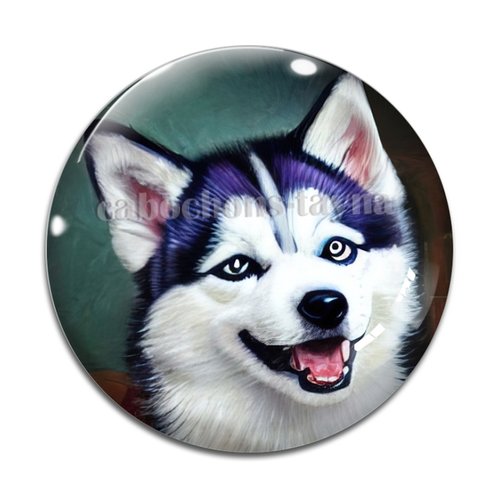 Cabochon chien, cabochon résine, verre rond différente taille