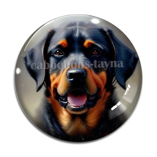 Cabochon chien, cabochon résine, verre rond différente taille