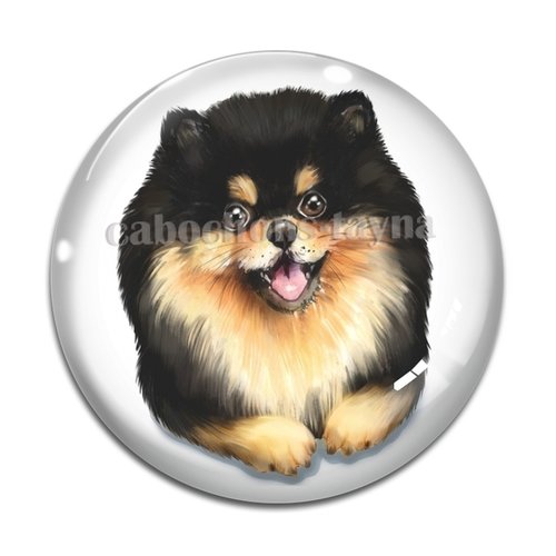 Cabochon chien, cabochon résine, verre rond différente taille