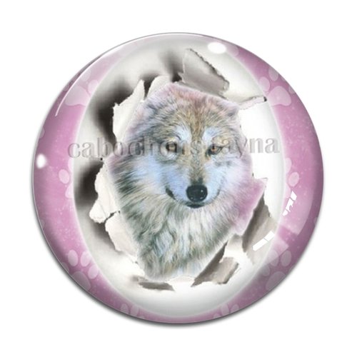 Cabochon loup, cabochon résine, verre rond différente taille