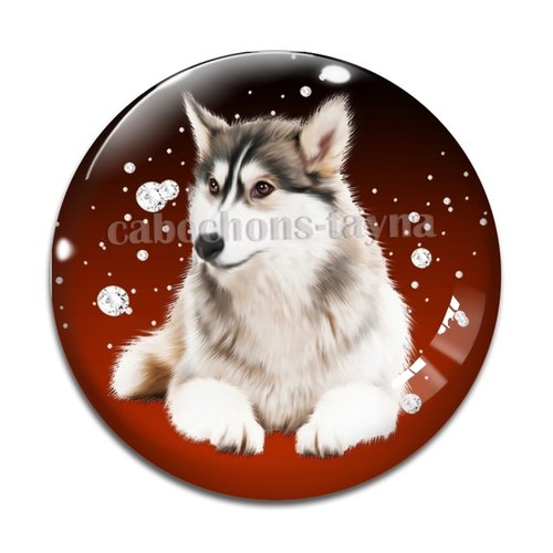 Cabochon loup, cabochon résine, verre rond différente taille