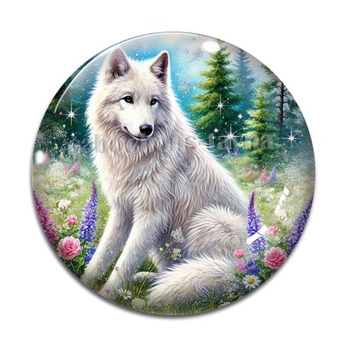 Cabochon loup, cabochon résine, verre rond différente taille