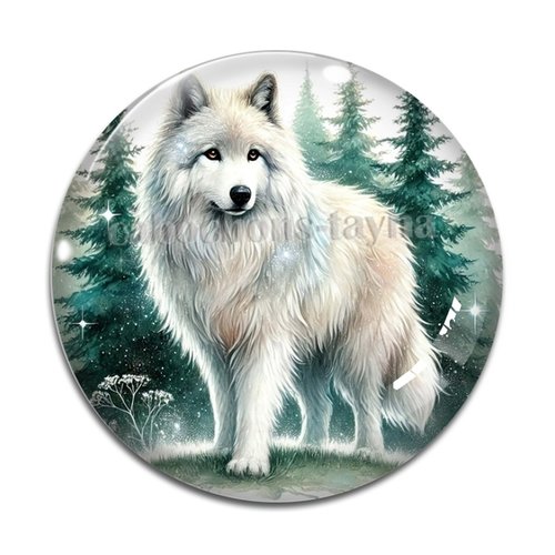 Cabochon loup, cabochon résine, verre rond différente taille