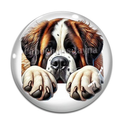 Cabochon chien, cabochon résine, verre rond différente taille