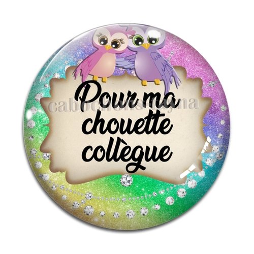 Cabochon chouette collègue, cabochon résine, verre rond différente taille