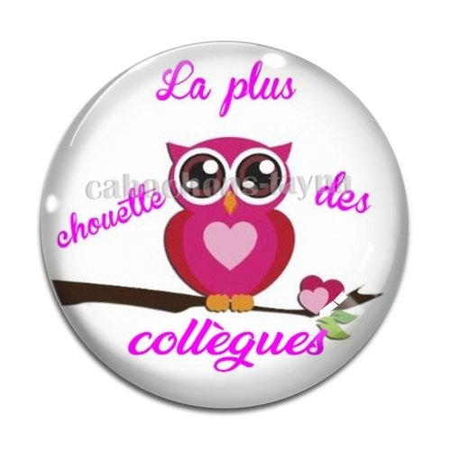Cabochon chouette collègue, cabochon résine, verre rond différente taille