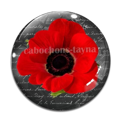 Cabochon fleur coquelicot, cabochon résine, verre rond différente taille