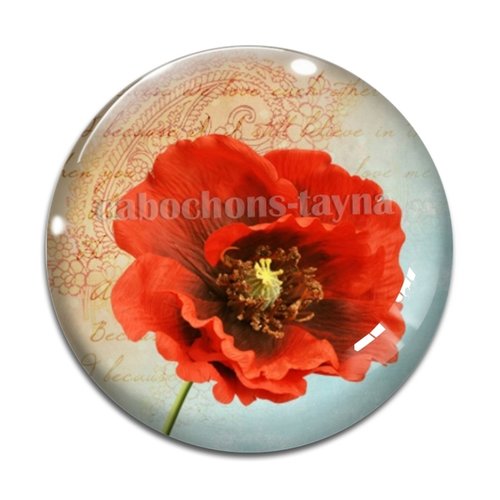 Cabochon fleur coquelicot, cabochon résine, verre rond différente taille
