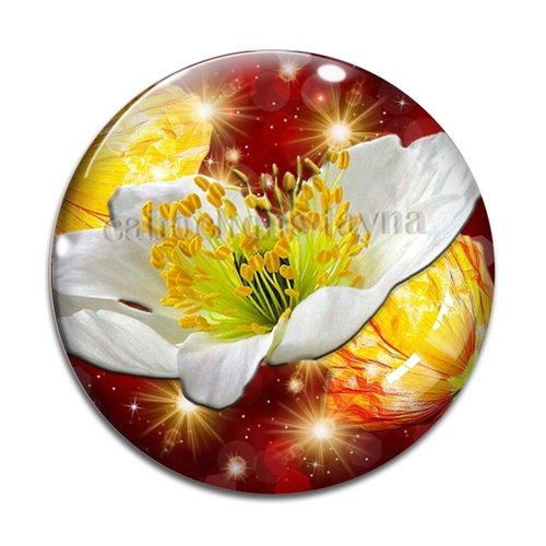 Cabochon fleur coquelicot, cabochon résine, verre rond différente taille