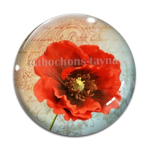 Cabochon fleur coquelicot, cabochon résine, verre rond différente taille