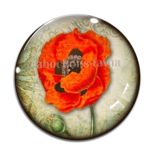 Cabochon fleur coquelicot, cabochon résine, verre rond différente taille