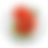 Cabochon fleur coquelicot, cabochon résine, verre rond différente taille
