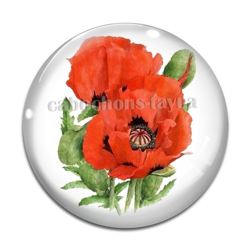 Cabochon fleur coquelicot, cabochon résine, verre rond différente taille