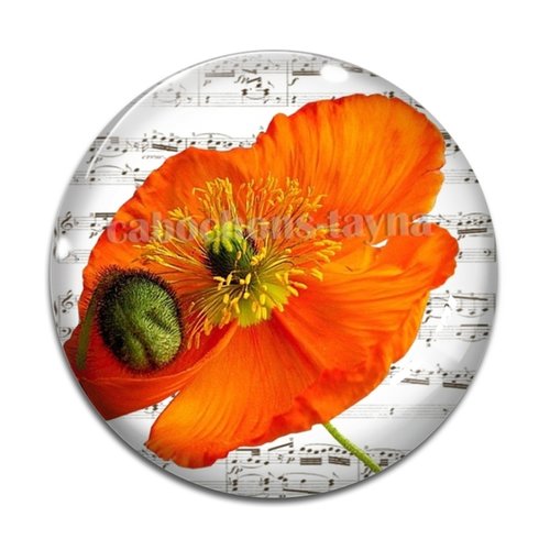 Cabochon fleur coquelicot, cabochon résine, verre rond différente taille
