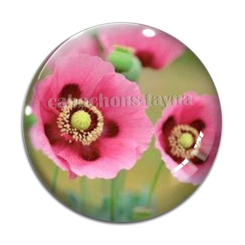 Cabochon fleur coquelicot, cabochon résine, verre rond différente taille