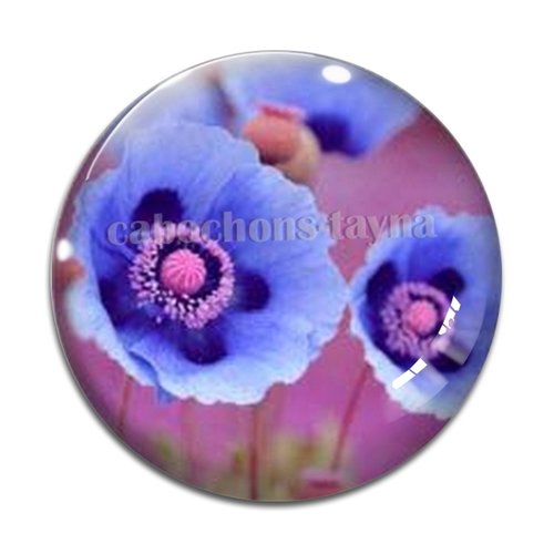 Cabochon fleur coquelicot, cabochon résine, verre rond différente taille