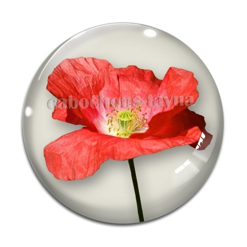 Cabochon fleur coquelicot, cabochon résine, verre rond différente taille