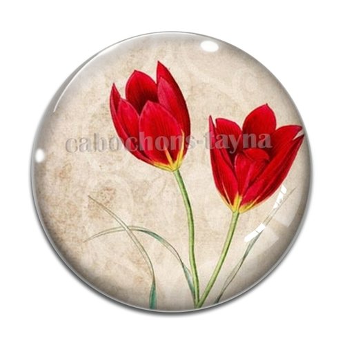 Cabochon fleur coquelicot, cabochon résine, verre rond différente taille