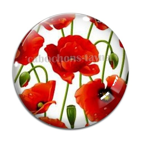 Cabochon fleur coquelicot, cabochon résine, verre rond différente taille