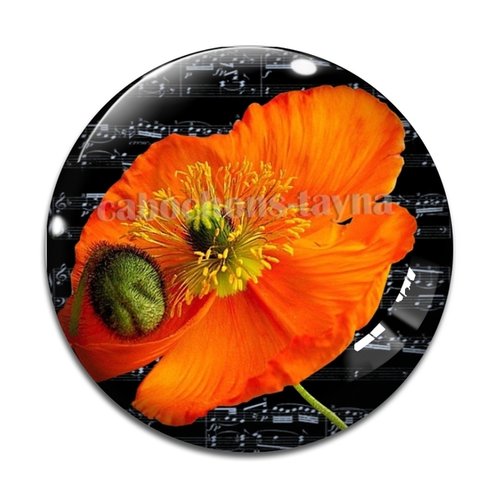 Cabochon fleur coquelicot, cabochon résine, verre rond différente taille