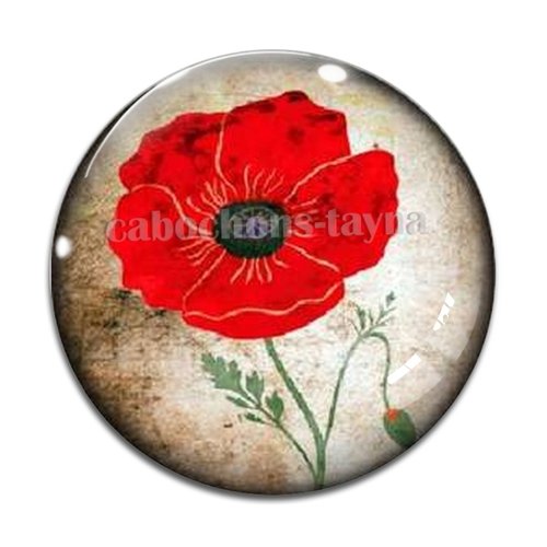 Cabochon fleur coquelicot, cabochon résine, verre rond différente taille