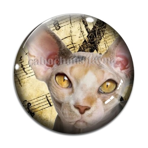 Cabochon chat, en résine ou en verre différente taille