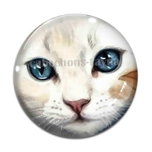 Cabochon chat, en résine ou en verre différente taille