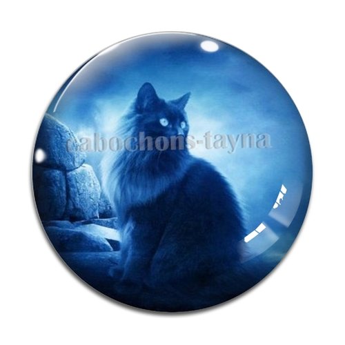 Cabochon chat, en résine ou en verre différente taille