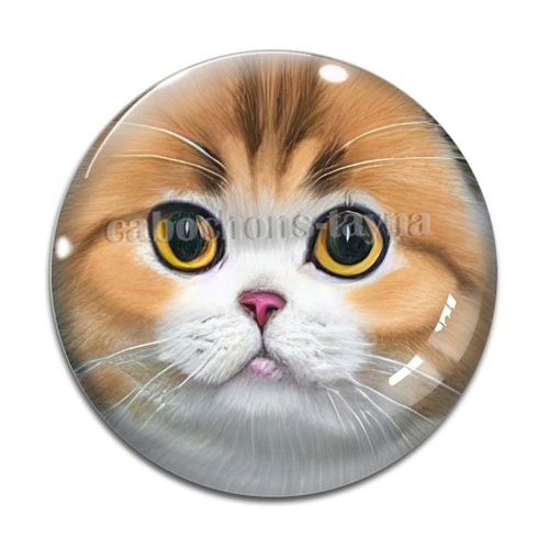Cabochon chat, en résine ou en verre différente taille