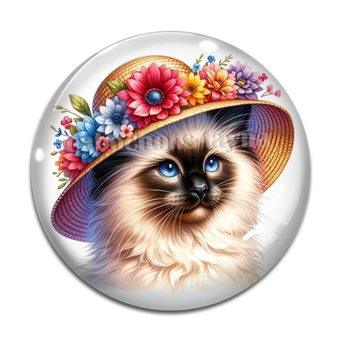 Cabochon chat, en résine ou en verre différente taille