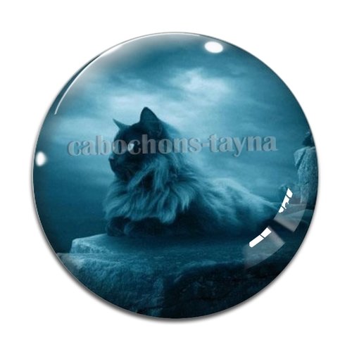 Cabochon chat, en résine ou en verre différente taille