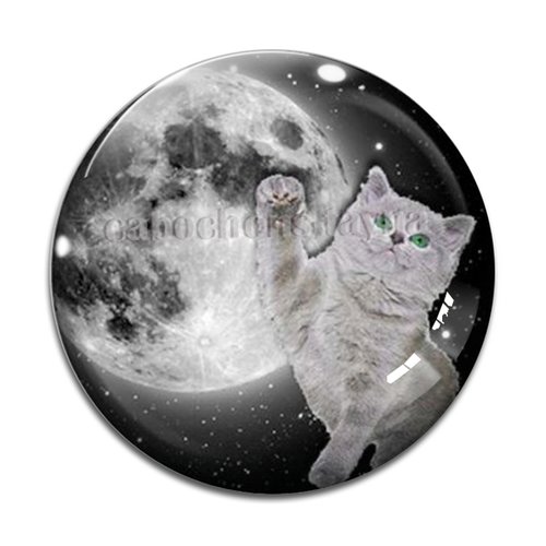 Cabochon chat, en résine ou en verre différente taille